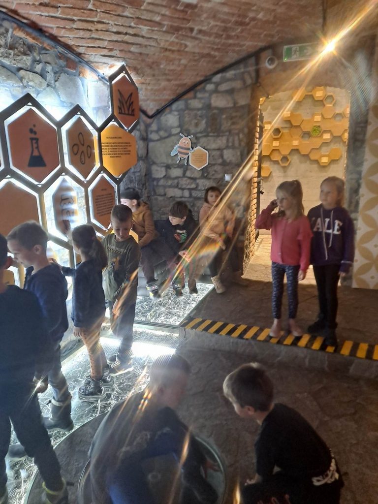 Wizyta w interaktywnym Muzeum Pszczelarstwa